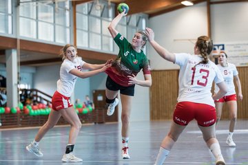 Bild 173 - F HSG Kremperheide/Muensterdorf - Slesvig IF 2 : Ergebnis: 30:26